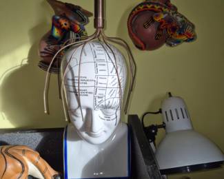 Phrenology Head