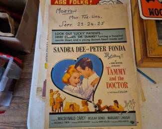 Vintage Tammy Dee Peter Fonda Movie Poster
