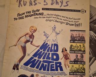 Vintage original Wild Wild Winter Movie poster