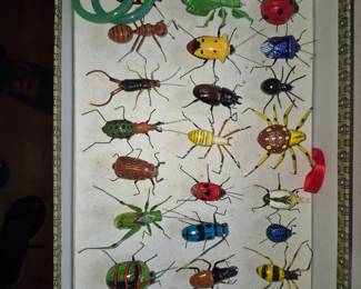 Large mounted insect collection