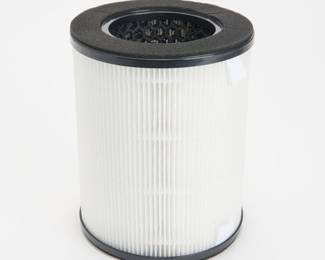 Homedics TotalClean Replacement 360-Degree Hepa Type Filter