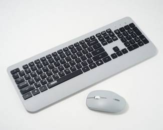 WorkEZ Wireless Keyboard and Wireless Mouse