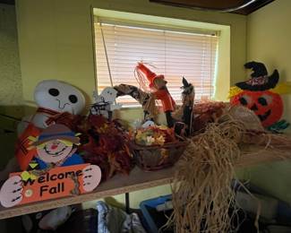 Halloween/fall decor