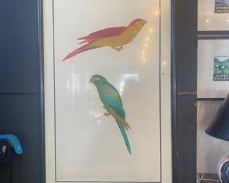 Parrots print