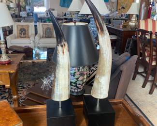 Pair steer horns