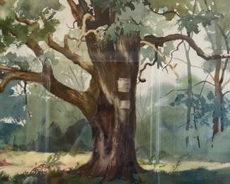 Watercolor - Jean Whitman