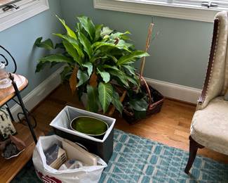 A great selection of Rugs for every room in the house