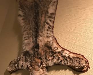 Bobcat Taxidermy