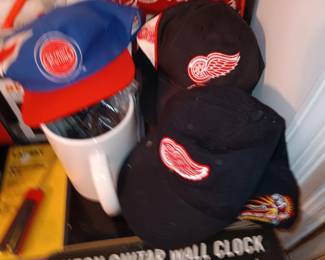 Detroit Pistons and Red Wings