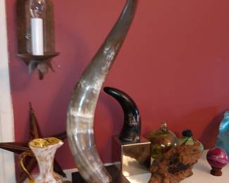 Animal Horn Decor
