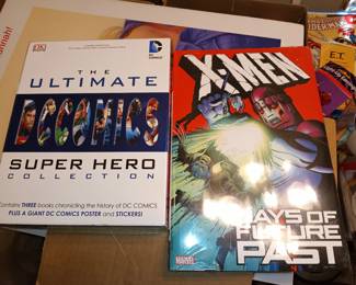 X-Men Days of Future Past