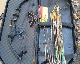 Bow and Arrows with Case