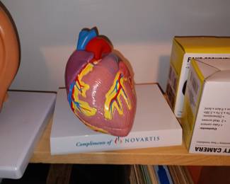 Novartis Heart Model