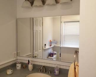 Vanity mirror & lights