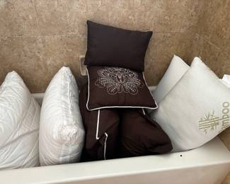 Assorted pillows 