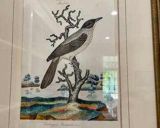 Goodall, pen and watercolor bird pictures, one of three ca. 1820