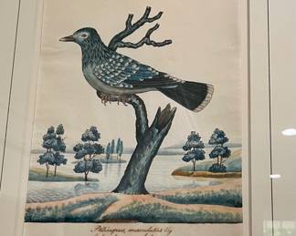 Attributed to William Goodall 1757-1844, pen and watercolor bird pictures, one of three ca. 1820