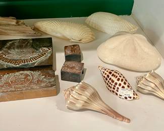 Sea shells, and printers stamps