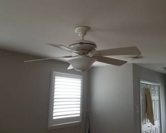 Illuminated ceiling fan