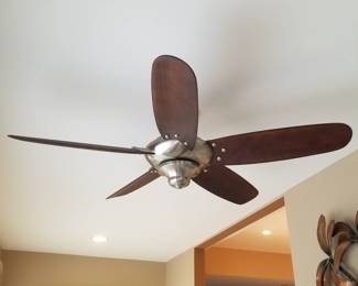 Ceiling fan