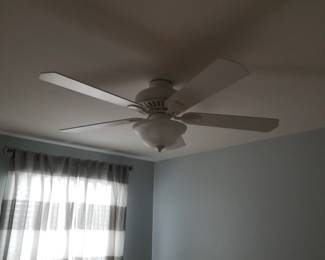 Illuminated ceiling fan