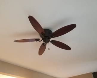 Ceiling fan