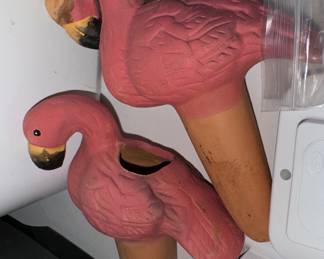 Flamingos !!!!