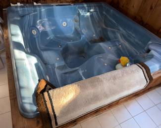 Hot tub and obligatory rubber ducky.. 