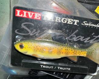 Live Target.. interesting story, a friend started this company... more to follow.                                           https://youtu.be/tAwjFuYZfPE?si=7OqolnIMuGpKxvIO