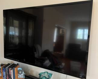 Vizio 60" TV