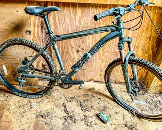 Raleigh Atomic13 bicycle