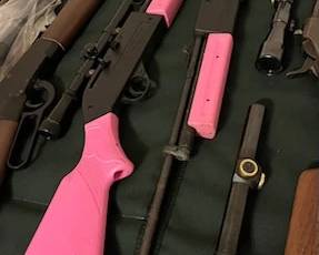 760 Pump Master Pellet Gun BB (2)