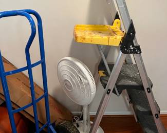 Hand truck and step ladder