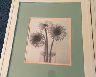 Pair of flower prints.