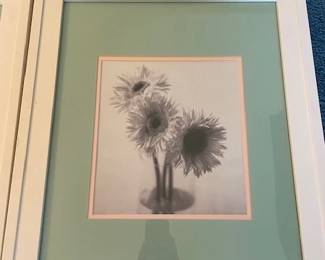 Pair of flower printes.