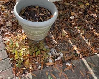 Plastic planter.