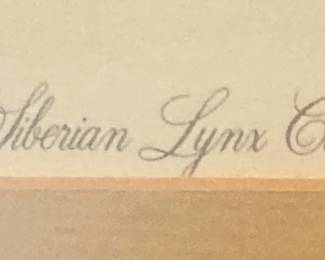 Siberian Lynx Cub by Artist Charles Frace