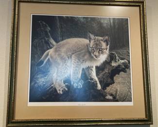 Siberian Lynx Cub by Artist Charles Frace