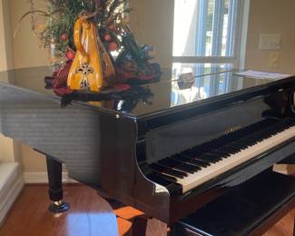 Gorgeous baby grand piano