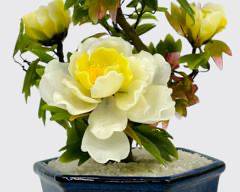 Beautiful Asian Glass Gemstone Gemstone Bonsai Tree Floral Arrangement
