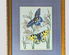 Fantastic Butterfly and Botanical Gilt Framed Print PARAGON GALLERIES
