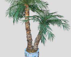 Faux Palm Tree in Lovely Asian Ceramic Jardiniere
