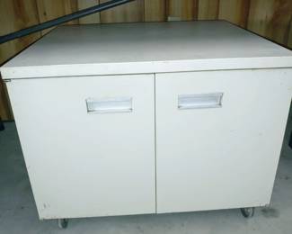 Rolling 2 door cabinet