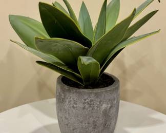 (2) Faux Succulent Plants