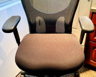 Temperpeudic Office Chair