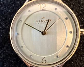 Skagen Watch
