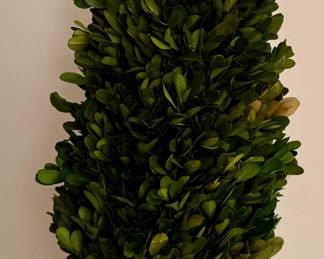 Faux Boxwood