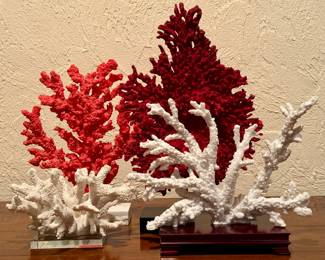 Coral Decor