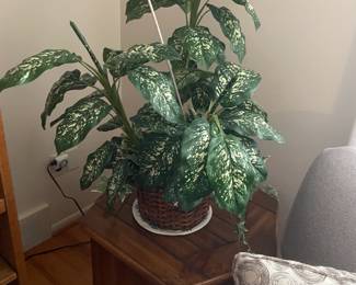 . . . faux plant