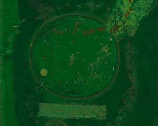 19
Frank LaPeña
1937-2019
Abstract in greens, 1974
Oil on board
Signed and dated lower right: LaPena 74
21" H x 23.5" W
Estimate: $400 - $600